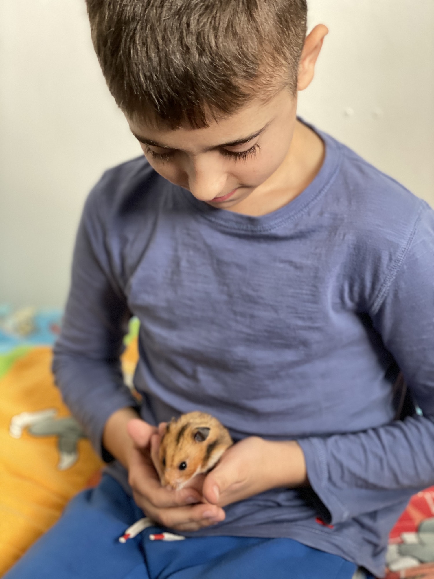 A kid hugging a hamster